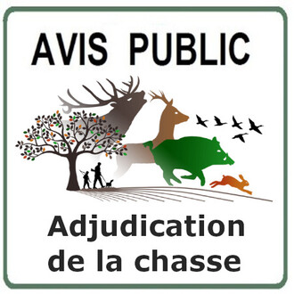 AVIS PUBLIC 