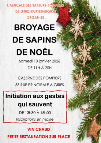 Broyage des sapins