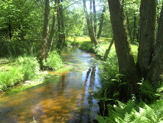 Bassin versant de la Moder : Prenez la parole sur les enjeux à venir autour de l’eau !