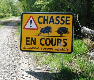 Battues de chasse