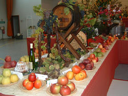 Exposition de fruits à Gries